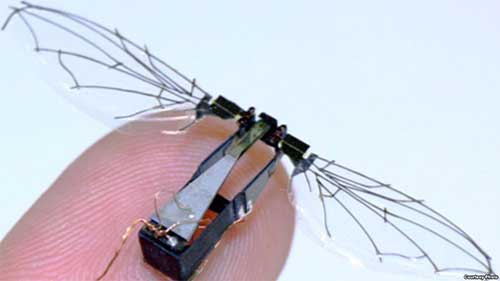 insect-flying-robot