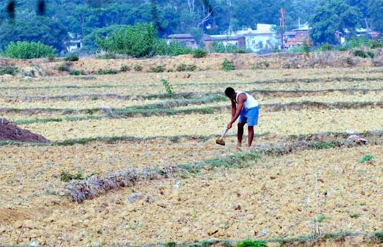 jharkhand-drought