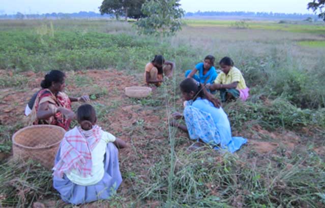 women_agriculture