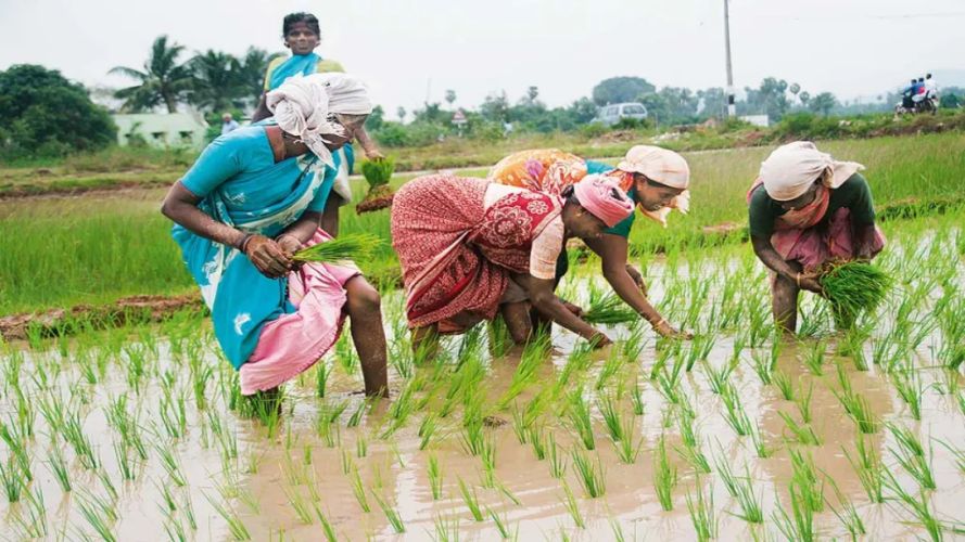 महिलाओं को भी किसान मानने का ऐतिहासिक बिल